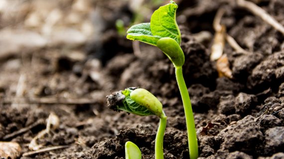 SUSTAINABILITY : Read more